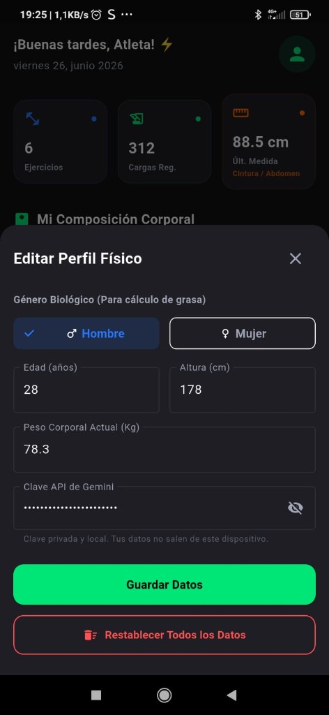 Perfil físico de RepMax con campo Clave API de Gemini