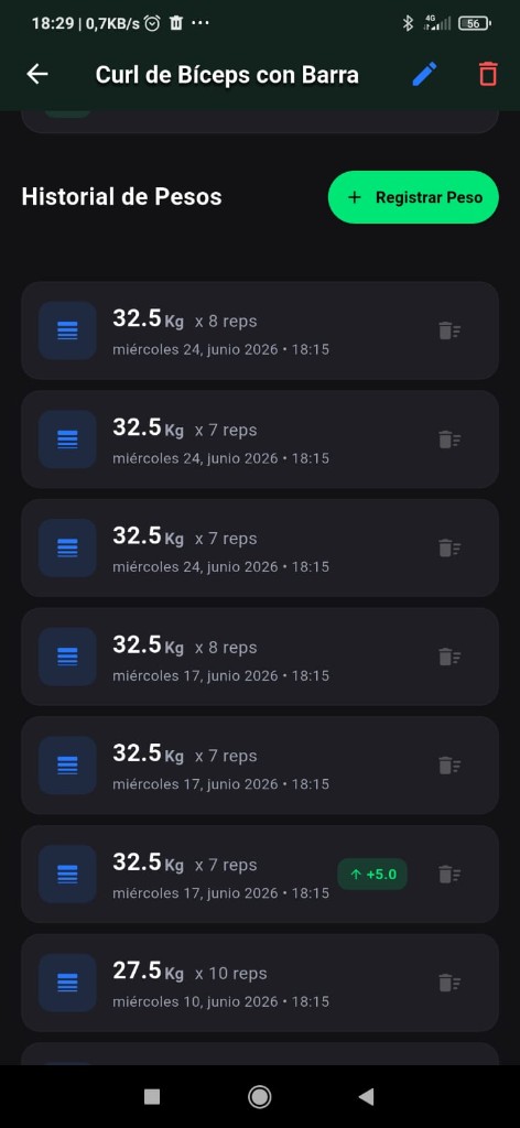 Historial de pesos por ejercicio